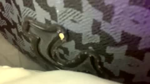 cezarthebreeder online show from 02/22/26, 09:24