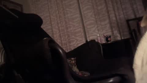 Snapshot of cfnmfriendly chatting on 10/23/25, 04:06 cfnmfriendly online show from 10/23/25, 04:06