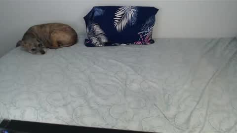 Viviana 3 online show from 12/10/24, 10:47