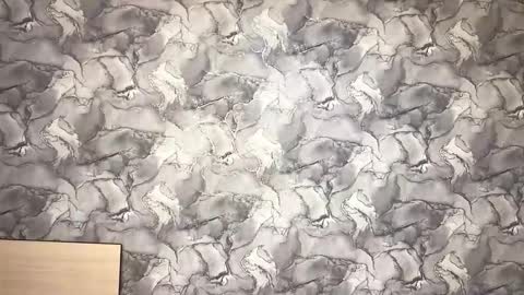 Ayano online show from 11/10/25, 09:41