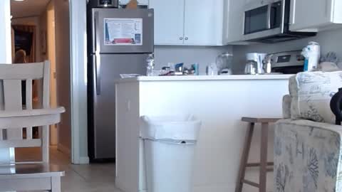 charleyandsmokie online show from 10/31/25, 05:58