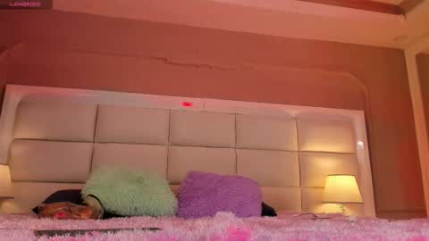    online show from 11/12/25, 11:32