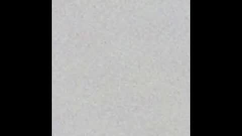 Charlotte online show from 09/08/25, 04:17