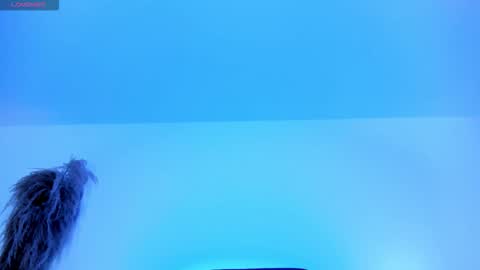 Snapshot of charlotte_whitee1 chatting on 10/12/25, 11:53 Charlotte Everyday From 0700 to 1300 Col Time online show from 10/12/25, 11:53