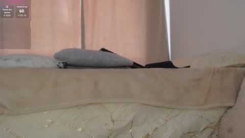 charlottehorny1 online show from 02/08/26, 03:04