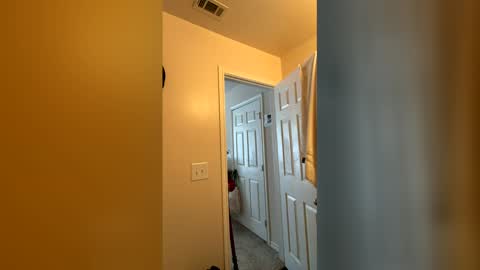 Chase2Attract online show from 03/04/26, 06:03