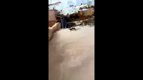 Snapshot of chasejase20333 chatting on 12/16/24, 07:37 chasejase20333 online show from 12/16/24, 07:37