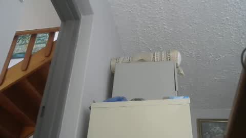 Snapshot of chaturbatordeluxe chatting on 02/22/25, 02:52 chaturbatordeluxe online show from 02/22/25, 02:52