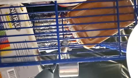 Snapshot of cheffydl chatting on 11/16/25, 11:16 cheffydl online show from 11/16/25, 11:16