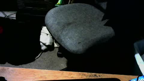 chefy online show from 01/13/25, 10:47