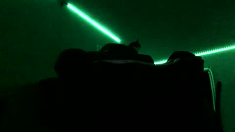 chenovich online show from 11/16/25, 09:04