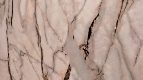 Emma  online show from 11/22/25, 11:31