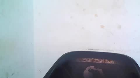 cherryxpussy online show from 05/03/26, 09:15