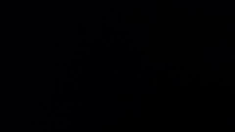 Snapshot of chico93ibz chatting on 03/03/25, 03:30 chico93ibz online show from 03/03/25, 03:30