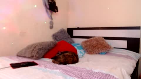 Snapshot of chikandela chatting on 05/12/26, 09:12 Valentina online show from 05/12/26, 09:12