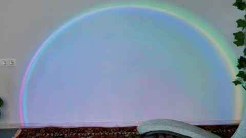 Bella online show from 02/11/26, 09:14