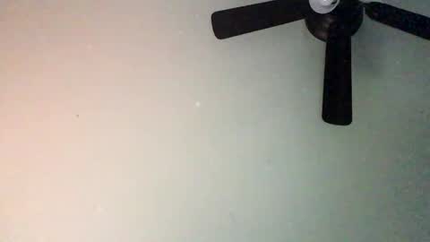 chippytits65 online show from 02/05/25, 04:25