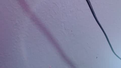 Snapshot of chloe_prg chatting on 12/20/24, 07:07 chloe_prg online show from 12/20/24, 07:07