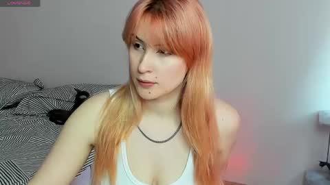 Snapshot of choco_meowx chatting on 05/21/26, 09:16 choco_meowx online show from 05/21/26, 09:16