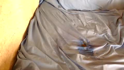 davenz online show from 02/28/25, 03:04