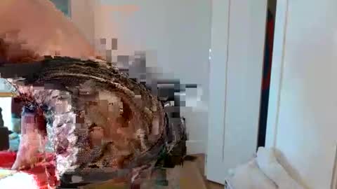 christophe_throbin online show from 01/31/26, 10:52