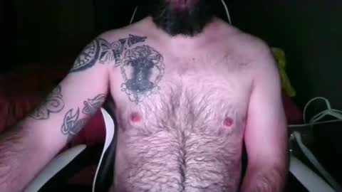 chub bear 99 online show from 05/26/26, 10:44