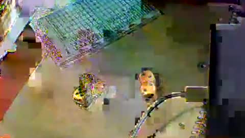 Snapshot of chubbyboy1986 chatting on 10/17/25, 10:01 chubbyboy1986 online show from 10/17/25, 10:01