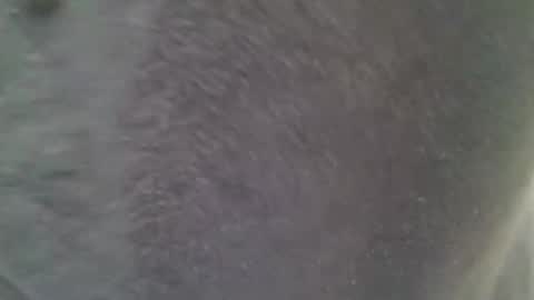 chubbycub14 online show from 02/07/26, 03:38