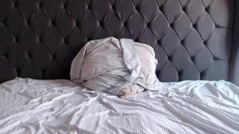 chubbydays online show from 04/03/26, 07:34