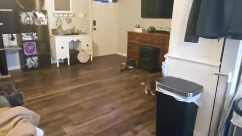 ChubbyHubby420 online show from 09/12/25, 01:44