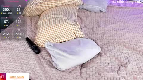 Snapshot of chubbykit1y chatting on 01/19/25, 04:04 Kelly online show from 01/19/25, 04:04