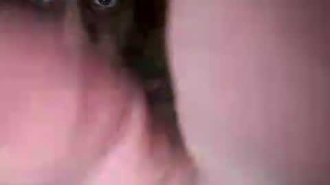 Snapshot of chuckied6969 chatting on 07/22/26, 03:04 chuckied6969 online show from 07/22/26, 03:04
