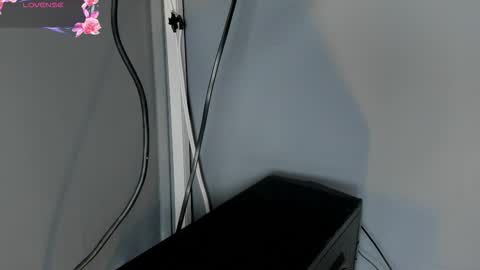 Cintia online show from 11/04/25, 12:04