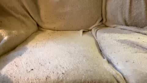 join the circle online show from 12/17/24, 04:53