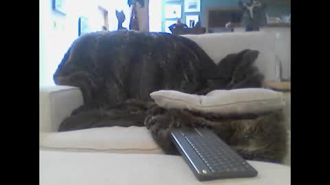 clitboy658752 online show from 01/14/26, 09:42