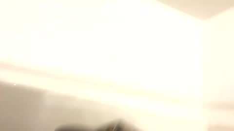 co23456 online show from 03/29/26, 05:18