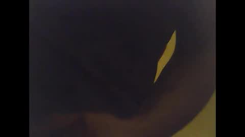 cobra1092 online show from 02/02/26, 06:01