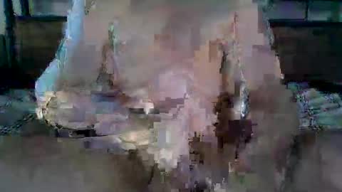 Ethan Slade online show from 04/19/26, 11:18