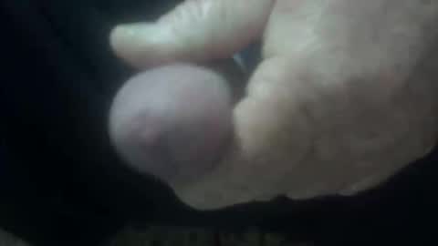 cocktoys online show from 02/01/26, 04:11