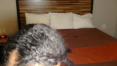 chanel online show from 03/02/26, 09:10