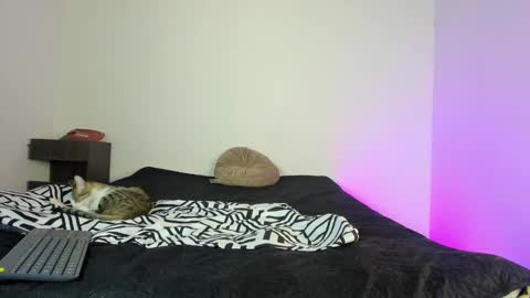 cody online show from 11/16/25, 01:49