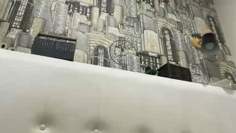 colambus83 online show from 03/08/26, 02:21