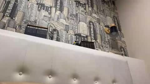 colambus83 online show from 04/23/26, 08:22