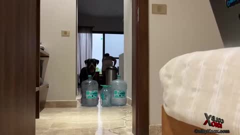 Snapshot of colbyknox chatting on 09/20/25, 11:06 colbyknox online show from 09/20/25, 11:06