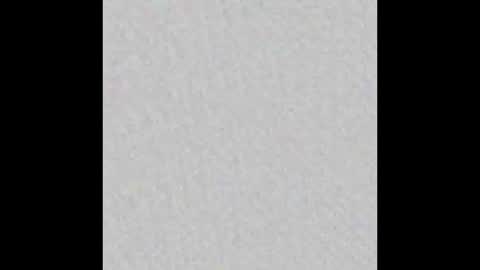 colgategrate online show from 02/28/26, 04:19