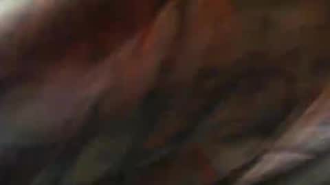 Snapshot of comox1961 chatting on 02/10/25, 09:04 comox online show from 02/10/25, 09:04