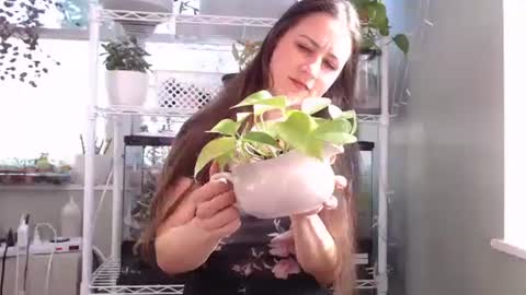 Snapshot of constantcumquest chatting on 10/04/25, 04:27 ANR Mommy online show from 10/04/25, 04:27