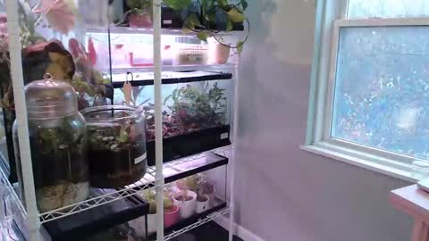 Snapshot of constantcumquest chatting on 11/09/25, 05:22 ANR Mommy online show from 11/09/25, 05:22