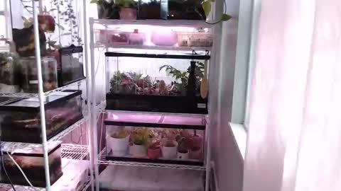 ANR Mommy online show from 11/14/25, 03:44