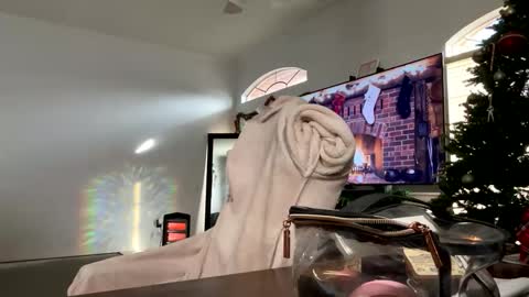 controllercutie online show from 12/17/25, 02:45